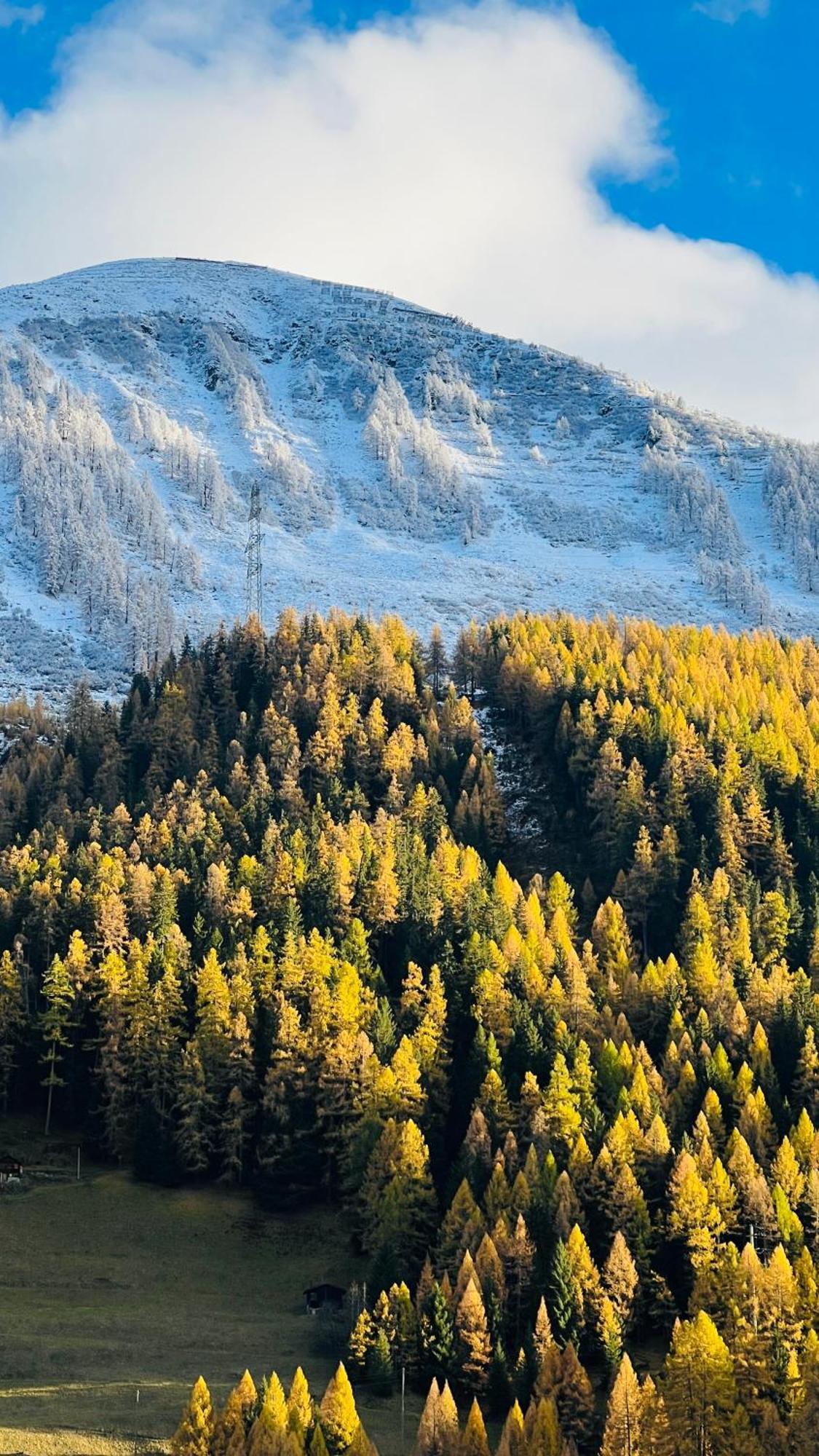 Berglodge Goms Мюнстер Экстерьер фото